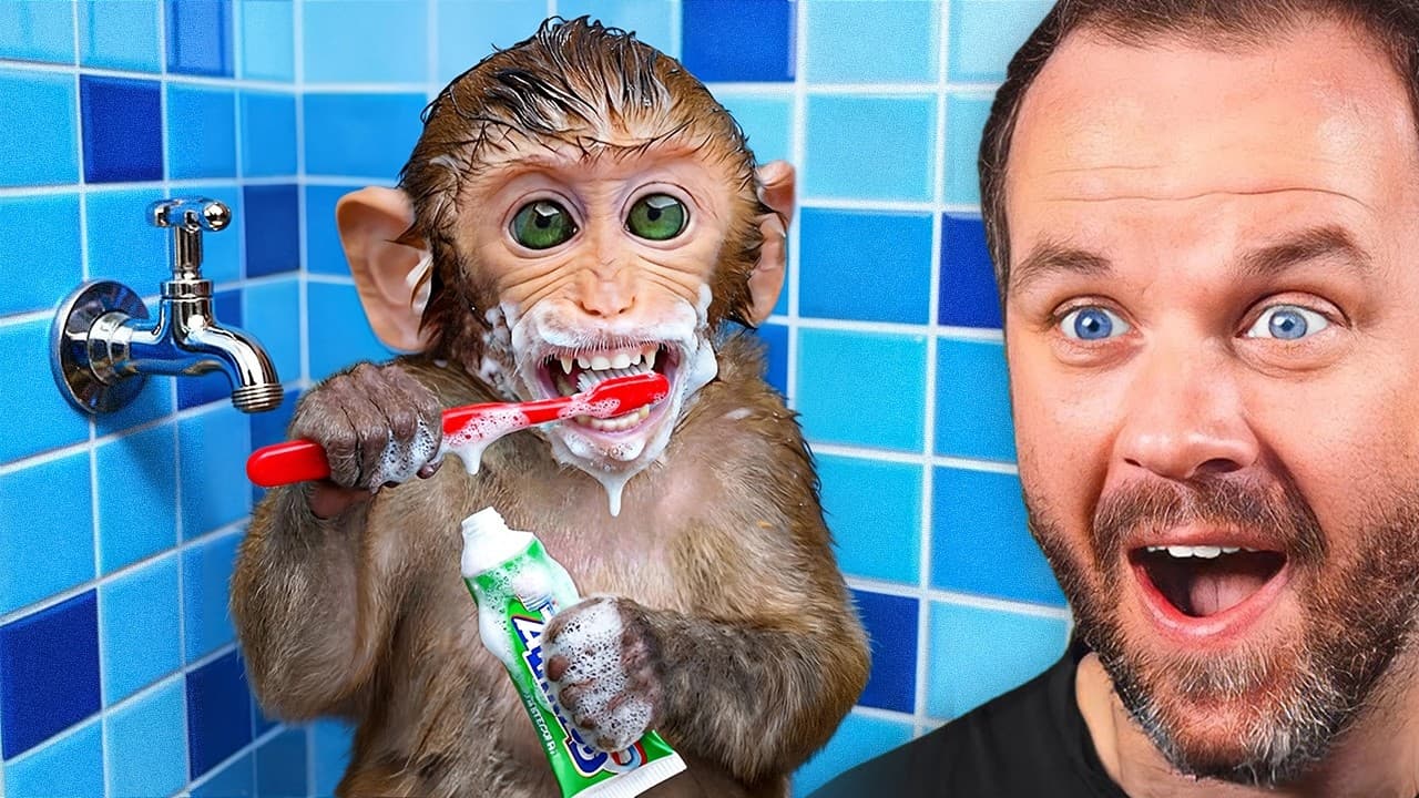 Animals With 900 IQ!